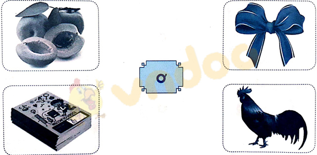 Giải Vở bài tập Tiếng Việt lớp 1 trang 12 Bài 9: Ơ, ơ