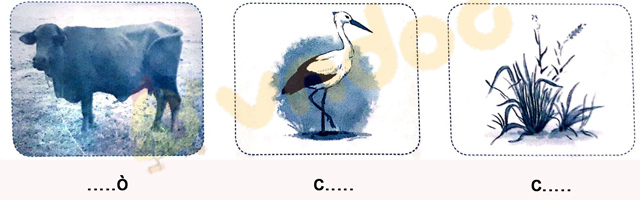 Giải Vở bài tập Tiếng Việt lớp 1 trang 9 Bài 6: O, o