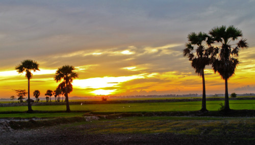 Viết một đoạn văn tả cảnh quê hương trong buổi chiều hè lớp 6