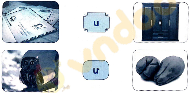 Giải Vở bài tập Tiếng Việt lớp 1 trang 15 Bài 13: U u Ư ư