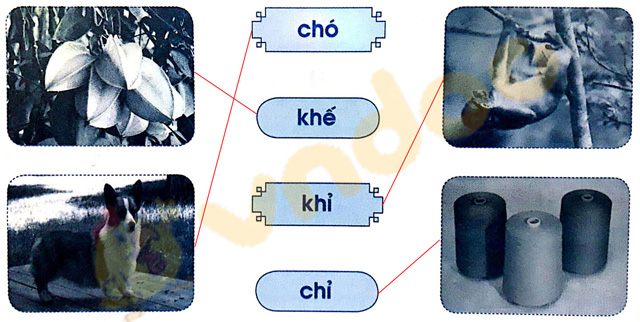 Giải Vở bài tập Tiếng Việt lớp 1 trang 16 Bài 14: Ch ch Kh kh
