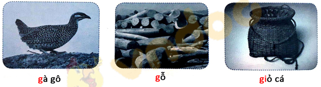 Giải Vở bài tập Tiếng Việt lớp 1 trang 18 Bài 17: G g Gi gi