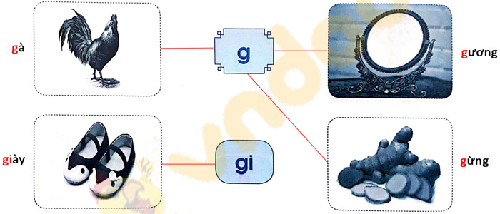 Giải Vở bài tập Tiếng Việt lớp 1 trang 18 Bài 17: G g Gi gi