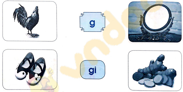 Giải Vở bài tập Tiếng Việt lớp 1 trang 18 Bài 17: G g Gi gi