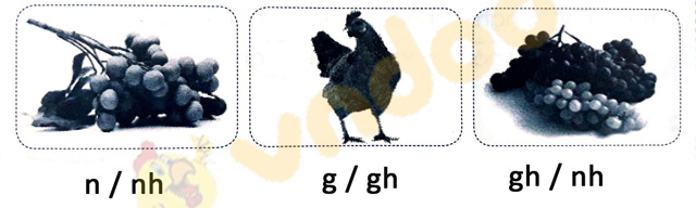 Giải Vở bài tập Tiếng Việt lớp 1 trang 19 Bài 18: Gh gh Nh nh