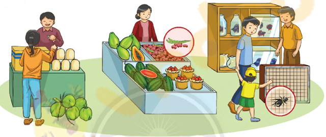 Giải Bài tập Tiếng Việt lớp 1 trang 30 Bài 1: D d Đ đ