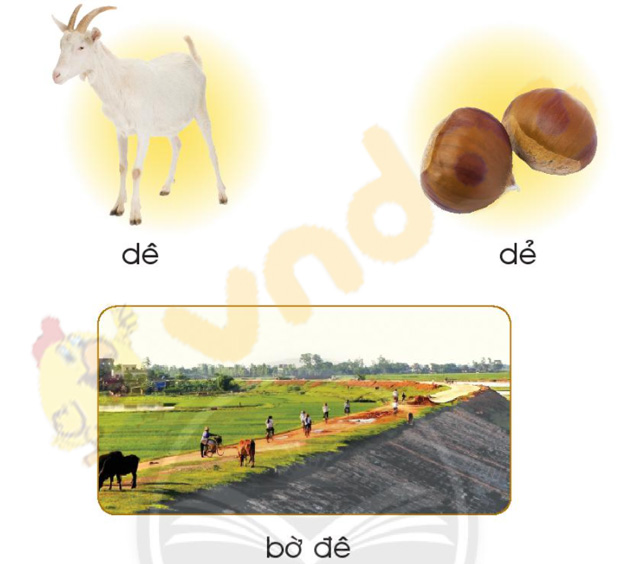 Giải Bài tập Tiếng Việt lớp 1 trang 30 Bài 1: D d Đ đ