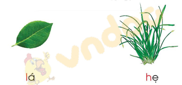 Giải Bài tập Tiếng Việt lớp 1 trang 34 Bài 3: L l H h