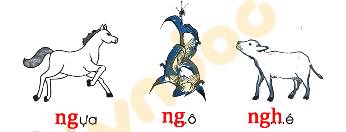 Giải Vở bài tập Tiếng Việt lớp 1 trang 16, 17, 18 Chủ đề 5: Ở nhà