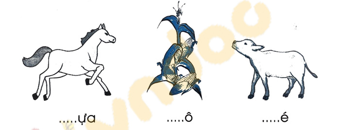 Giải Vở bài tập Tiếng Việt lớp 1 trang 16, 17, 18 Chủ đề 5: Ở nhà