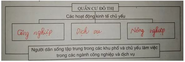 Giải SBT Địa 7 bài 2: Sự phân bố dân cư - Các chủng tộc trên thế giới