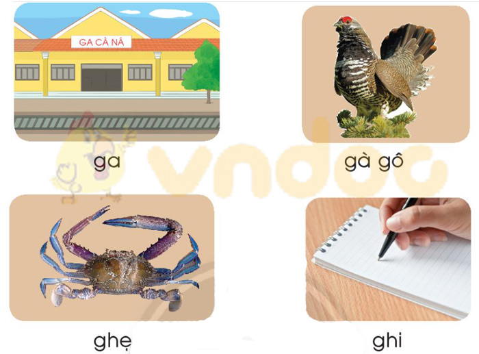Giải Bài tập Tiếng Việt lớp 1 trang 44 Bài 3: G g gh