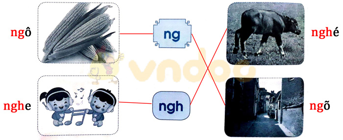 Giải Vở bài tập Tiếng Việt lớp 1 trang 20 Bài 19: Ng ng Ngh ngh