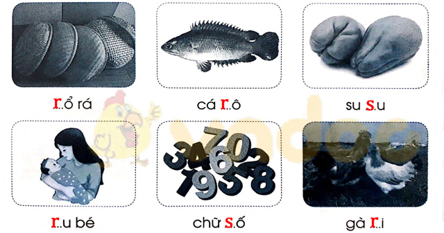 Giải Vở bài tập Tiếng Việt lớp 1 trang 21 Bài 21: R r S s