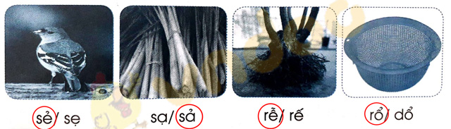 Giải Vở bài tập Tiếng Việt lớp 1 trang 21 Bài 21: R r S s