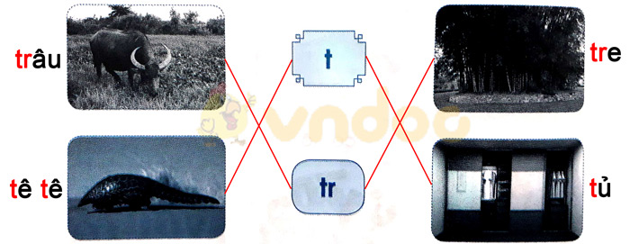 Giải Vở bài tập Tiếng Việt lớp 1 trang 22 Bài 22: T t Tr tr