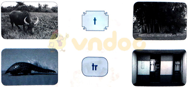 Giải Vở bài tập Tiếng Việt lớp 1 trang 22 Bài 22: T t Tr tr