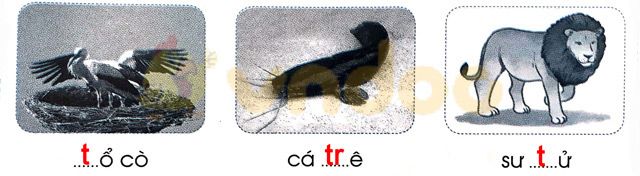 Giải Vở bài tập Tiếng Việt lớp 1 trang 22 Bài 22: T t Tr tr