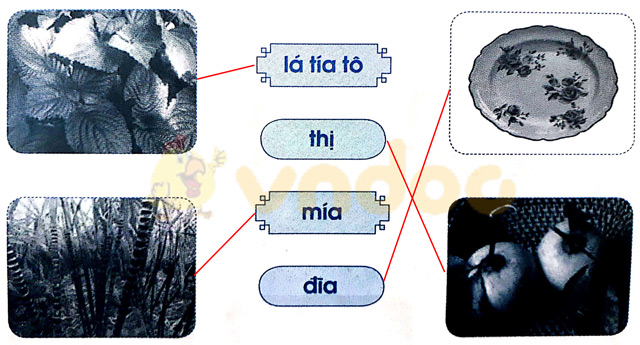 Giải Vở bài tập Tiếng Việt lớp 1 trang 23 Bài 23: Th th ia
