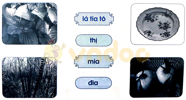 Giải Vở bài tập Tiếng Việt lớp 1 trang 23 Bài 23: Th th ia