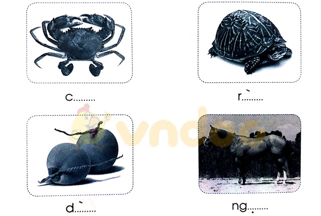 Giải Vở bài tập Tiếng Việt lớp 1 trang 24 Bài 24: ua ưa