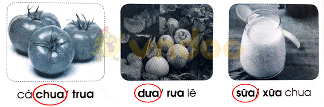 Giải Vở bài tập Tiếng Việt lớp 1 trang 24 Bài 24: ua ưa