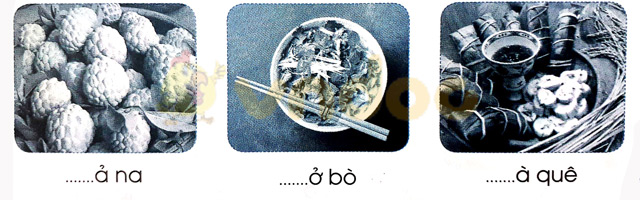 Giải Vở bài tập Tiếng Việt lớp 1 trang 25 Bài 26: Ph ph Qu qu