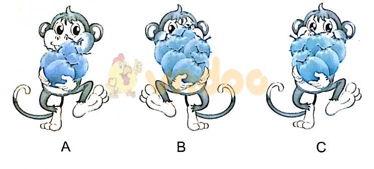 Giải vở bài tập Toán lớp 1 trang 25 sách Kết nối tri thức với cuộc sống