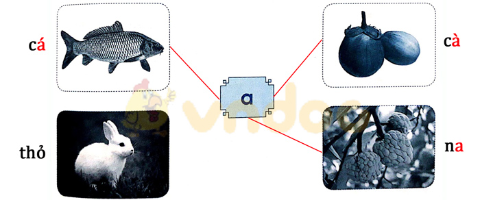 Câu 1. Nối  Trả lời:  Câu 2. Gà con tìm mẹ Gà con phải đi đúng đường có chữ a để tìm được mẹ. Hãy dùng bút vẽ đường đi giúp gà con.  Trả lời: