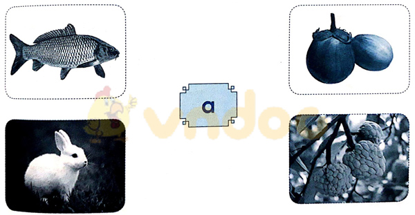 Câu 1. Nối  Trả lời:  Câu 2. Gà con tìm mẹ Gà con phải đi đúng đường có chữ a để tìm được mẹ. Hãy dùng bút vẽ đường đi giúp gà con.  Trả lời: