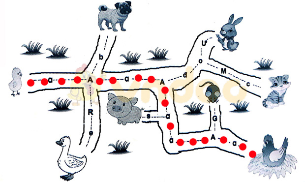 Câu 1. Nối  Trả lời:  Câu 2. Gà con tìm mẹ Gà con phải đi đúng đường có chữ a để tìm được mẹ. Hãy dùng bút vẽ đường đi giúp gà con.  Trả lời: