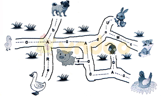 Câu 1. Nối  Trả lời:  Câu 2. Gà con tìm mẹ Gà con phải đi đúng đường có chữ a để tìm được mẹ. Hãy dùng bút vẽ đường đi giúp gà con.  Trả lời: