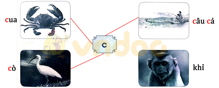 Giải Vở bài tập Tiếng Việt lớp 1 trang 7 Bài 3: C c