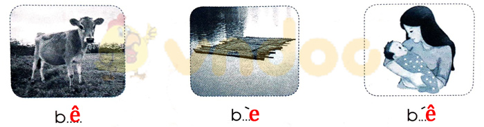 Giải Vở bài tập Tiếng Việt lớp 1 trang 8 Bài 4: E e Ê ê