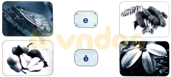 Giải Vở bài tập Tiếng Việt lớp 1 trang 8 Bài 4: E e Ê ê