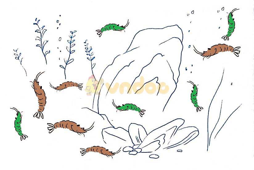 Giải vở bài tập Toán lớp 1 trang 23 sách Kết nối tri thức với cuộc sống