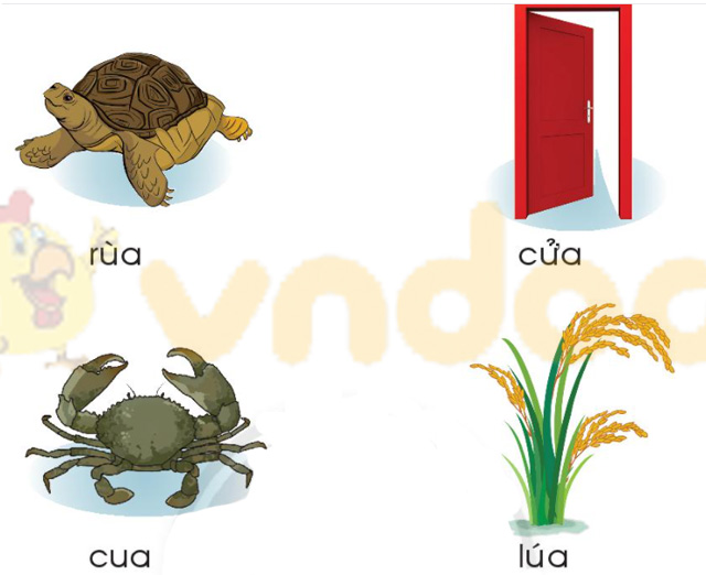 Giải Bài tập Tiếng Việt lớp 1 trang 56 Bài 4: ua, ưa