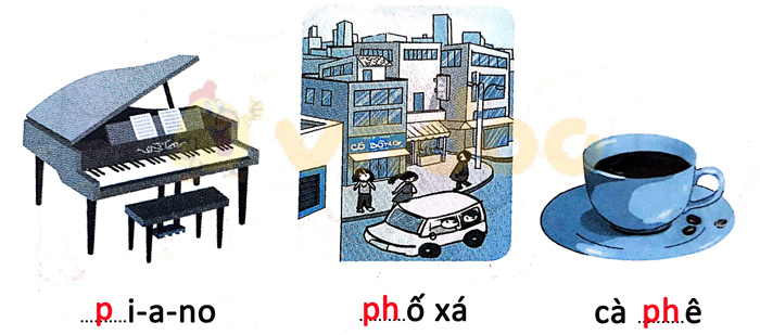 Giải Vở bài tập Tiếng Việt lớp 1 trang 19, 20, 21 Chủ đề 6: Đi sở thú