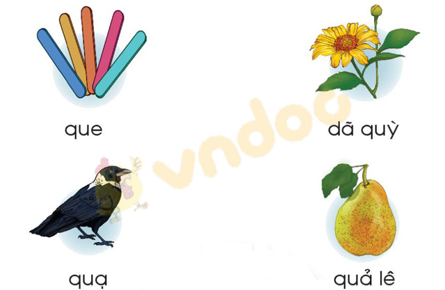 Giải bài tập Tiếng Việt 1 trang 64 Chủ đề 6 Bài 3: Q q qu Y y