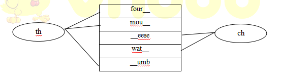 Phiếu bài tập cuối tuần Tiếng Anh lớp 4 nâng cao - Tuần 6