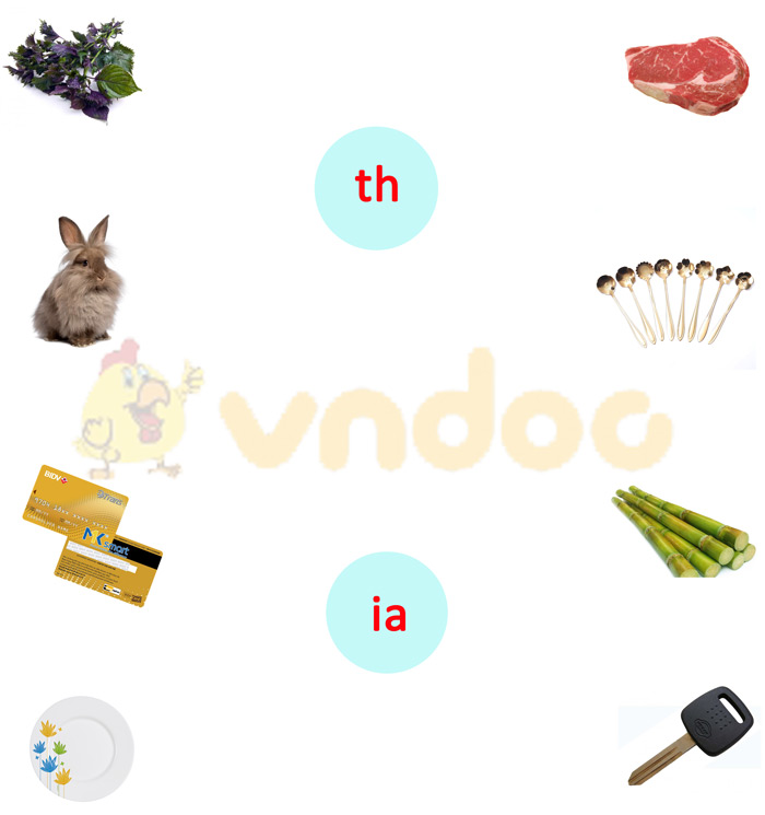 Phiếu bài tập cuối tuần Tiếng Việt 1 nâng cao - Tuần 5 - Phiếu 3