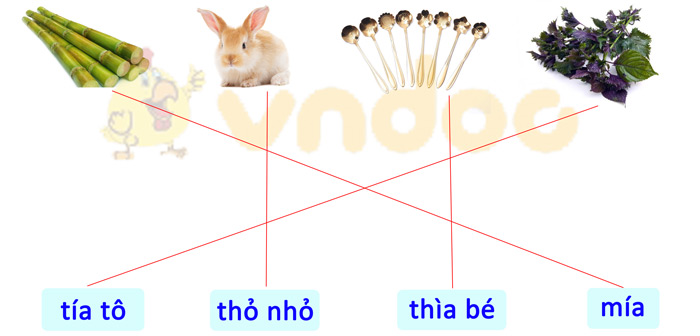 Phiếu bài tập cuối tuần Tiếng Việt 1 nâng cao - Tuần 5 - Phiếu 3