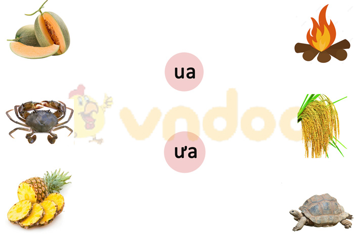 Phiếu bài tập cuối tuần Tiếng Việt 1 nâng cao - Tuần 5 - Phiếu 4