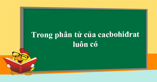Trong phân tử của cacbohiđrat luôn có - Giải bài tập Hóa 12 - VnDoc.com