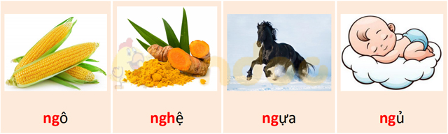 Đề kiểm tra giữa kì 1 lớp 1 môn Tiếng Việt năm 2020 - 2021 - Đề 1