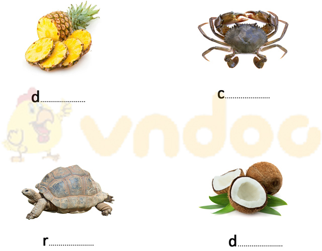 Đề thi giữa kì 1 lớp 1 môn Tiếng Việt năm 2020 sách Chân trời - Đề 1