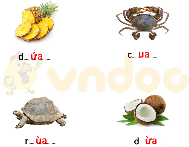 Đề thi giữa kì 1 lớp 1 môn Tiếng Việt năm 2020 sách Chân trời - Đề 1