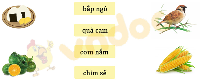 Đề thi giữa kì 1 lớp 1 môn Tiếng Việt năm 2020 sách Cánh Diều - Đề 2