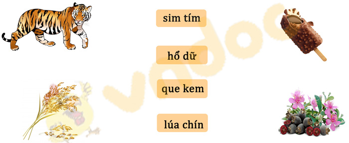 Đề thi giữa kì 1 lớp 1 môn Tiếng Việt năm 2020 sách Kết nối - Đề 2