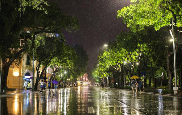 Viết đoạn văn 5 - 6 câu tả một đêm mưa - Văn mẫu lớp 5